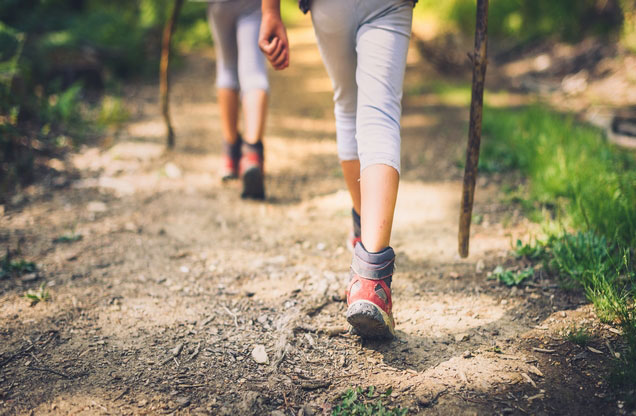 Nafplion Hiking tour in Arcadia: Hikers walking on a mountain trail in Arcadia