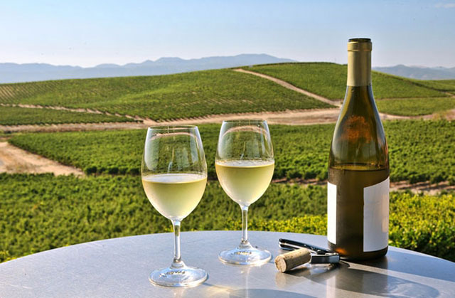 Nafplion Winetasting Tour Nemea: Two wine glasses and a bottle of white wine overlooking Namea vineyards