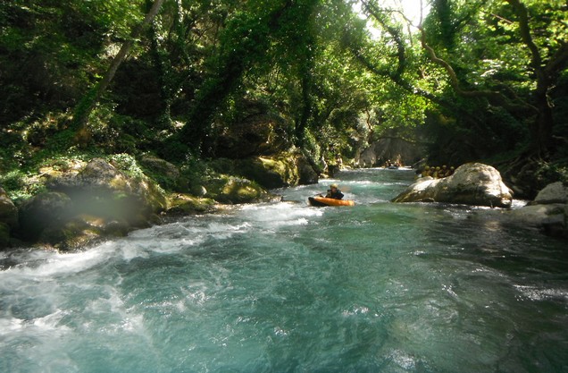 the river Lousios through the dense vegetation