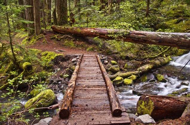 wooden bridge over a stream