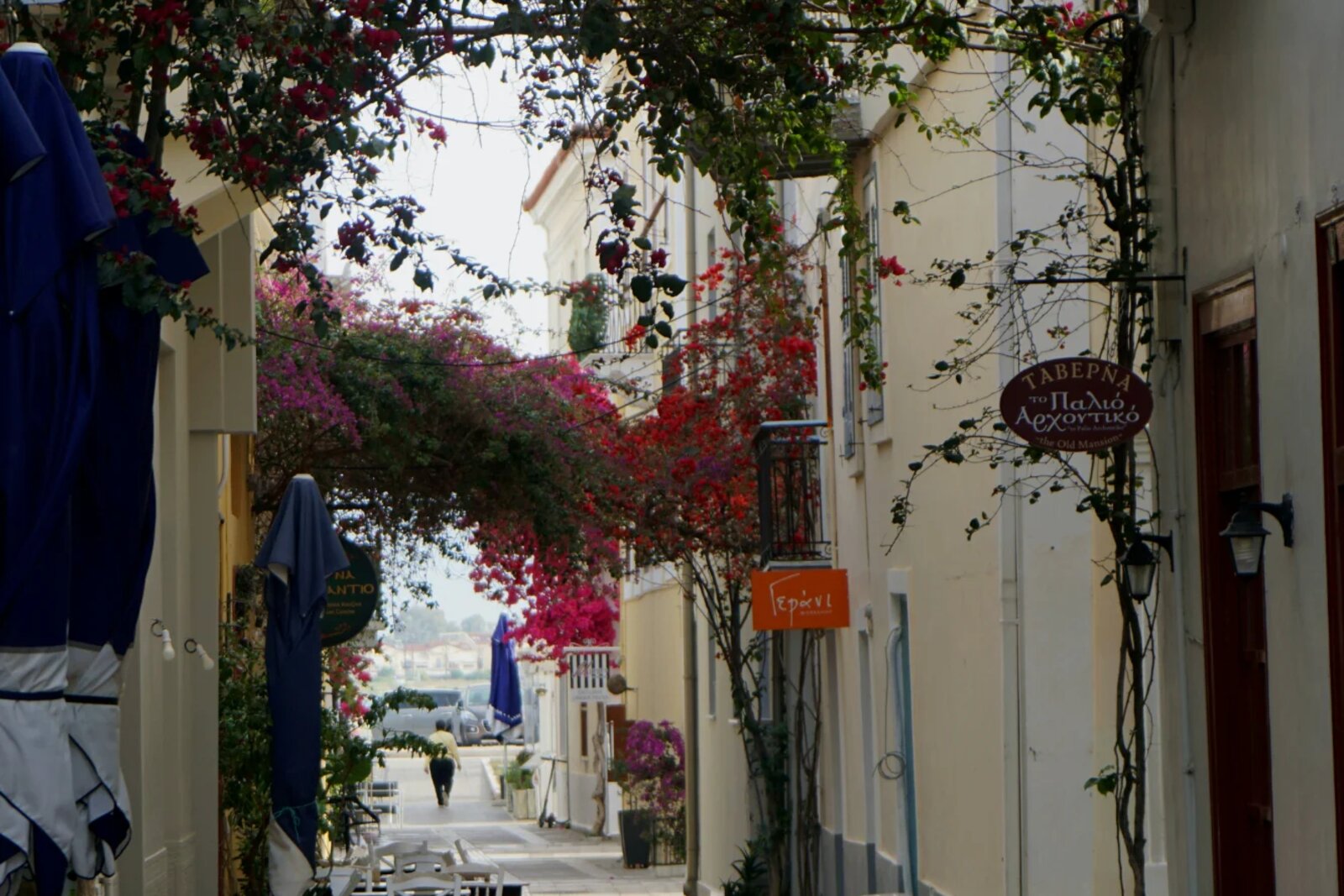 Culture & Taste Tour